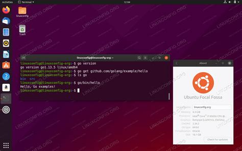How To Install Go On Ubuntu 20 04 Focal Fossa Linux
