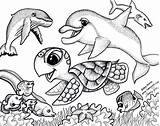 Coloring Pages Sea Animals Baby Print Kids Ocean Printable Color Cute Life Sheet Turtle Adults Under Children Friends Propose Today sketch template