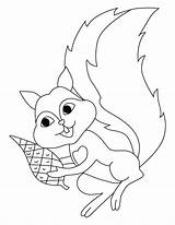 Squirrel Coloring Pages Flying Squirrels Preschool Cliparts Clipart Popular Library Coloringhome sketch template