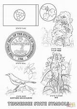Coloring State Symbols Pages Tennessee Printable Alabama Flower Bird Flag Florida Sheets Kids Nevada Tree Unique Maryland Popular Library Choose sketch template