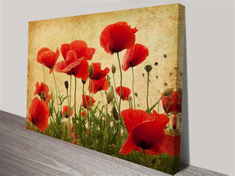 vintage floral art  canvas prints  poppies flower art poppy field au