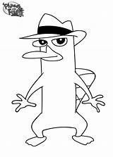 Phineas Ferb Coloring Perry Pages Baby sketch template