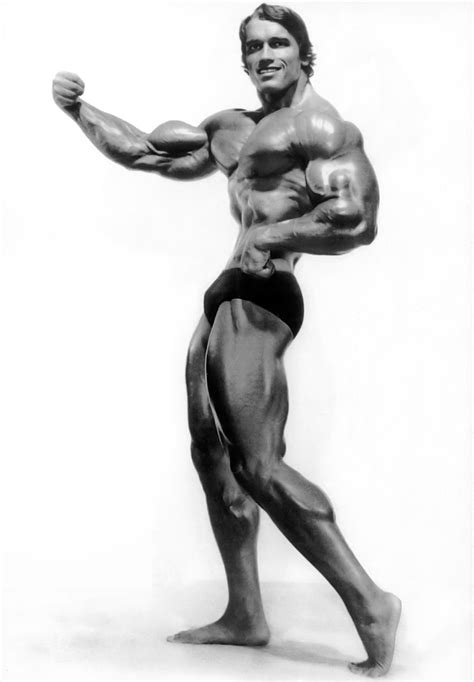 perfect arnold