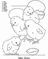 Number Color Coloring Pages Easter Numbers Kids Baby Easy Educational Chicks Colouring Colour Activity Printables Activities Follow Clipart Popular Print sketch template
