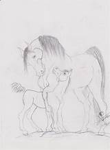Horse Drawings Drawing Andalusia Spanish Cute Mare Foal Pure Known Feel Also sketch template