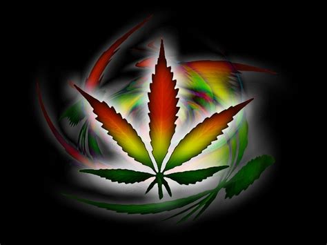 weed drugs marijuana  nature psychedelic plant cannabis