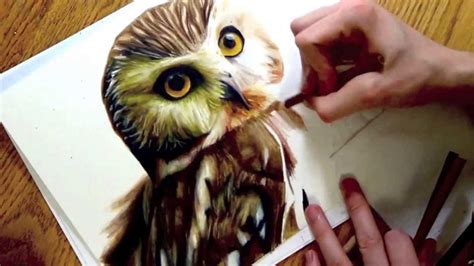 drawing realistic owl  heatherrooney  deviantart