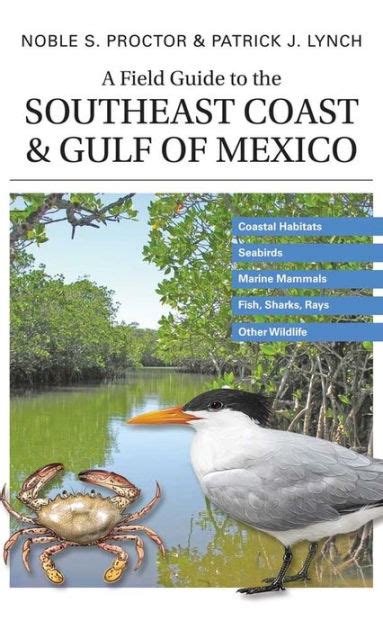 A Field Guide To The Southeast Coast And Gulf Of Mexico Coastal Habitats