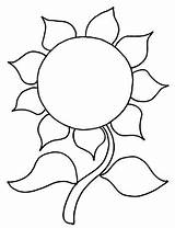 Sunflower Coloring 455px 05kb sketch template