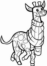 Giraffe Coloriage Giraffa Girafe Foulard Avec Sciarpa Divertente Scribblefun sketch template