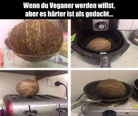 Pin Auf Funny