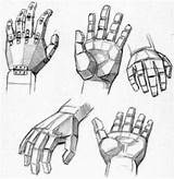Hands Drawing Reference Draw Hand Loomis Andrew Guides Drawings Shapes Sketch Step Anatomy Sheets Using Drawinghowtodraw Figure Google Basic Book sketch template