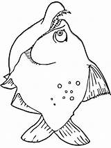 Piranha Coloring Pages Piranhas Library Clipart Fish Designlooter Color Printable Recommended sketch template