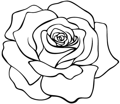 desenho de uma rosa  colorir desenho de uma rosa  colorir