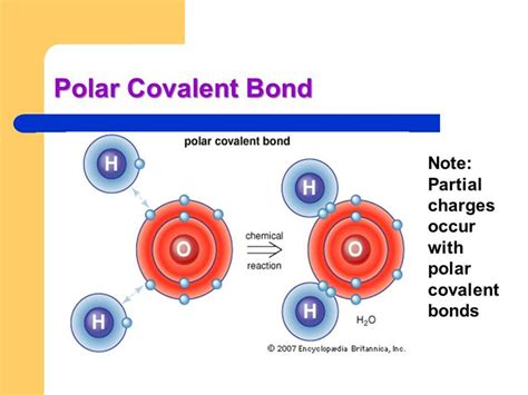 polar covalent bond mga katangian  halimbawa agham  mobile legends