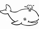 Whale Coloring Pages Printable Kids Killer Outline Sperm Preschool Drawing Jonah Clipart Animals Color Shark Print Getcolorings Fascinating Gorgeous Kindergarten sketch template