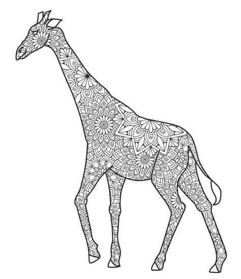 giraffe coloring pages  printable  coloring pages