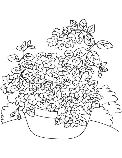 flower vines drawing  getdrawings