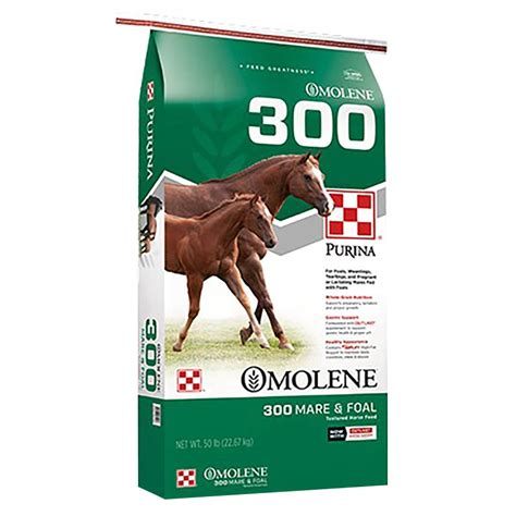 purina omolene  mare foal horse feed