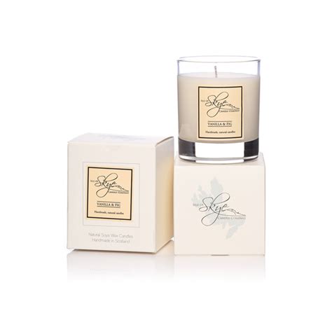 Vanilla And Fig Candle Small Tumbler Skye Soap Co