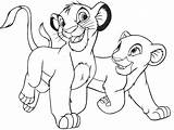 Coloring Lions Little Pages Popular Two sketch template