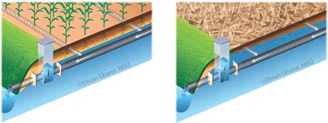 controlled drainage biosystems agricultural engineering drainage