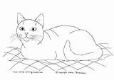 Tuxedo Cat Coloring 44kb 261px Drawings sketch template