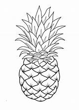 Pineapple Colorir Frutas Abacaxi Ananas Kawaii Piña Ausmalen Morango 2756 Obst Desenhospracolorir sketch template