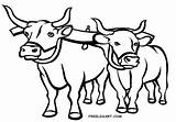 Coloring Ox Oxen Yoke Printable Pages Clip Getdrawings Getcolorings Color sketch template