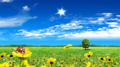 spring hd wallpapers 1080p wide screen wallpapers 1080p