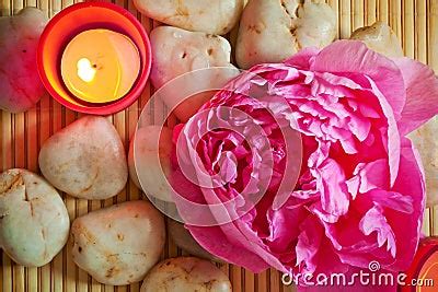 spa scene  pink peony stock images image