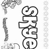 Skye Pages Coloring Hellokids sketch template