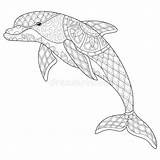 Dolphin Colouring Coll sketch template