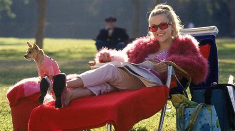 how legally blonde hinged on one ugly gay stereotype huffpost