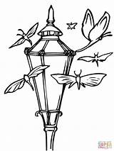Coloring Lantern Chinese Pages Lanterns Moths Moth Color Camping Printable Drawing Sacred Geometry Getdrawings Getcolorings Colo Coloringbay Online Colorings Template sketch template