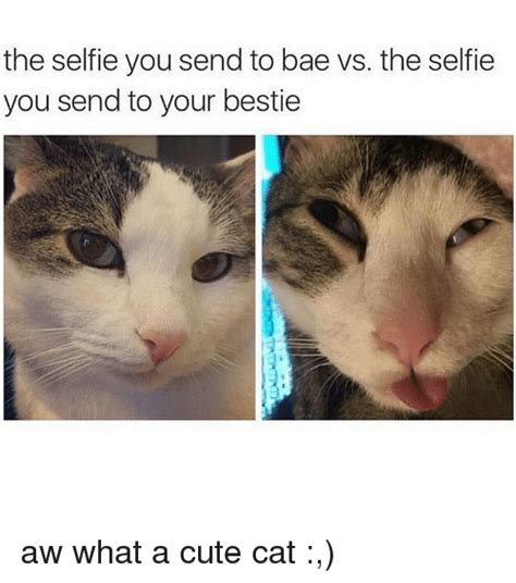 The Selfie You Send To Bae Vs The Selfie You Send To Your