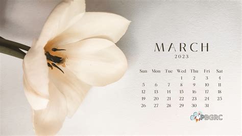 cute march  calendar floral wallpaper hd calendar wallpaper
