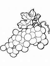 Coloring Pages Grapes Grape Vine California Mission Color Printable Leaves Fruits Getcolorings Recommended Clipartmag Drawing Kids Print Raisins sketch template