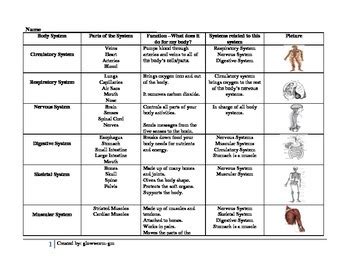 body system chart   classroom essentials shop tpt