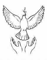 Coloring Peace Dove Popular sketch template