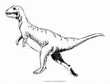 Coloring Dinosaur Pages Printable Realistic Mycoloringland sketch template