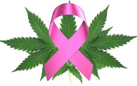 mayoría de mujeres con cáncer de mama usan cannabis para el dolor en