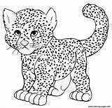 Cheetah sketch template