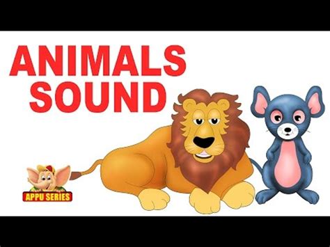 animals pictures  names  sounds dailymotion picturemeta