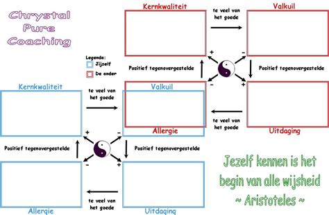 kernkwadrant loopbaanbegeleiding cognitieve gedragstherapie leiderschap