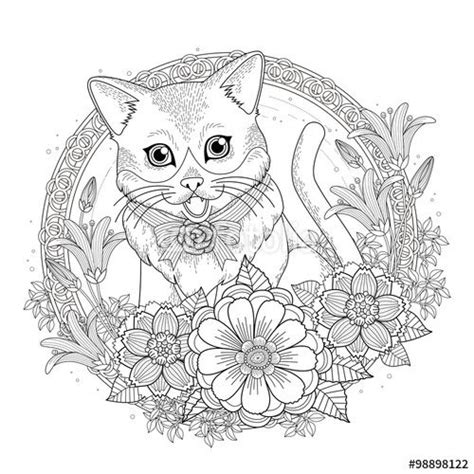 pin  sue ann  coloring cat kitty coloring animal coloring pages