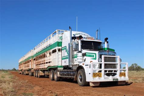 australian cattle hauler road train truck transport kenworth trucks