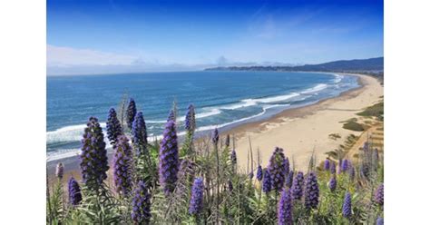 famous beaches  california