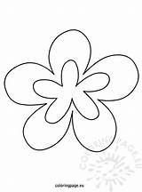 Flower Shapes Printable Coloring Flowers sketch template