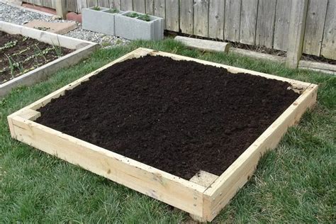 soil  raised garden bed